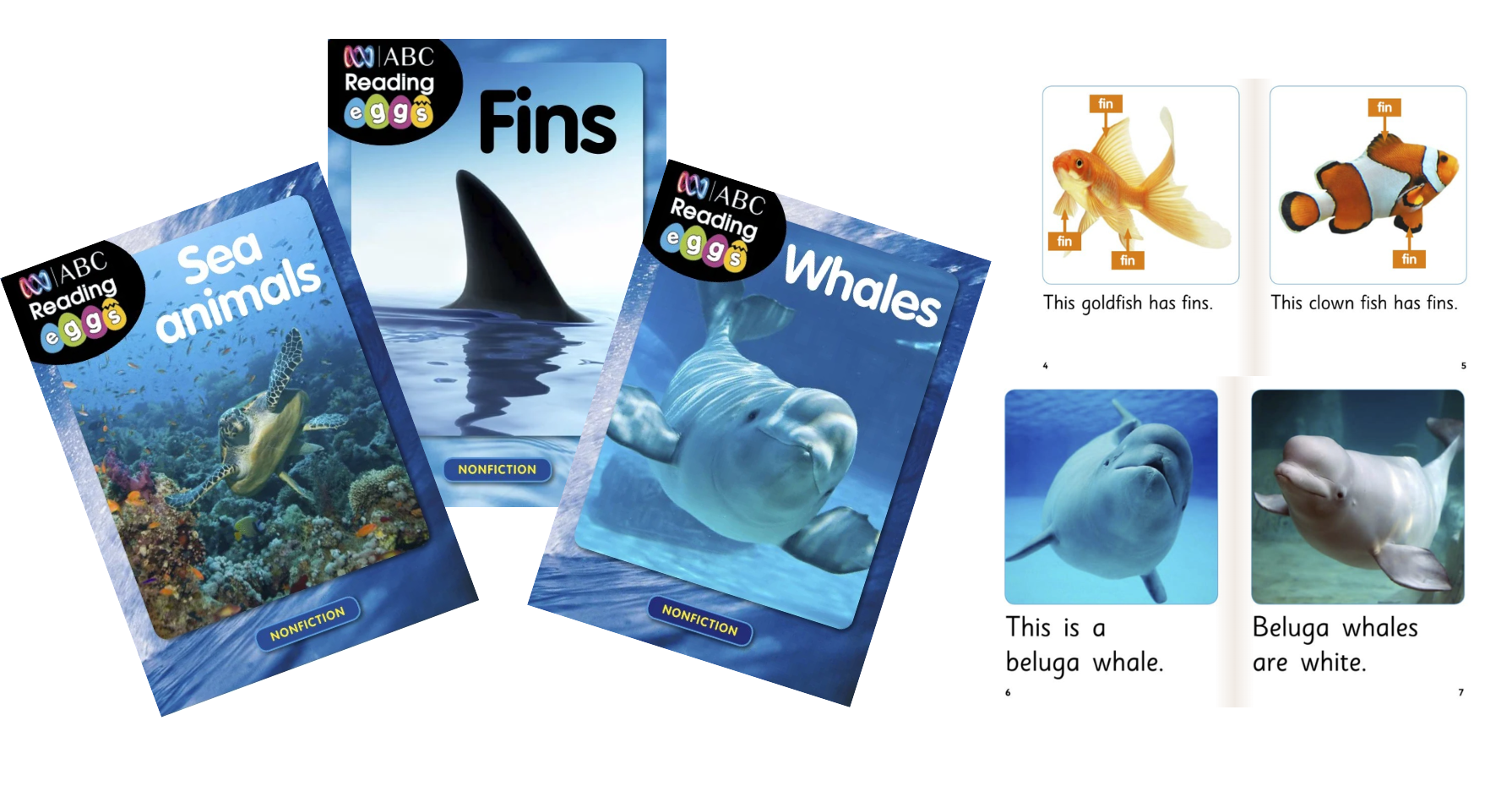 Ocean books for kids 5 to 7 years old